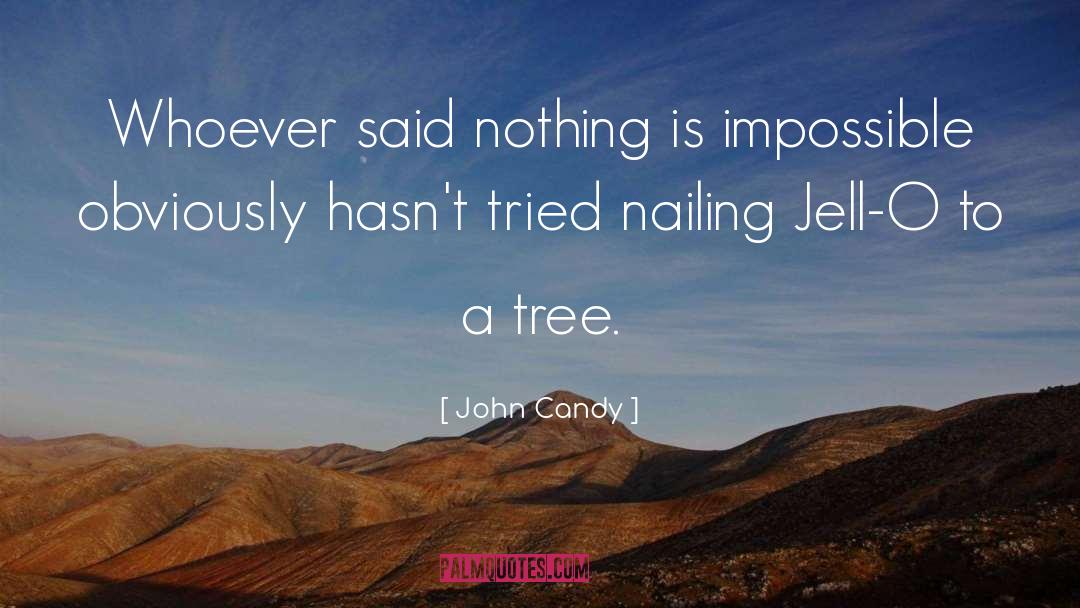 Nothing Is Impossible quotes by John Candy