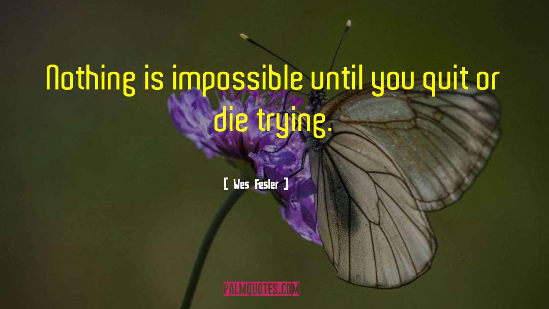 Nothing Is Impossible quotes by Wes Fesler