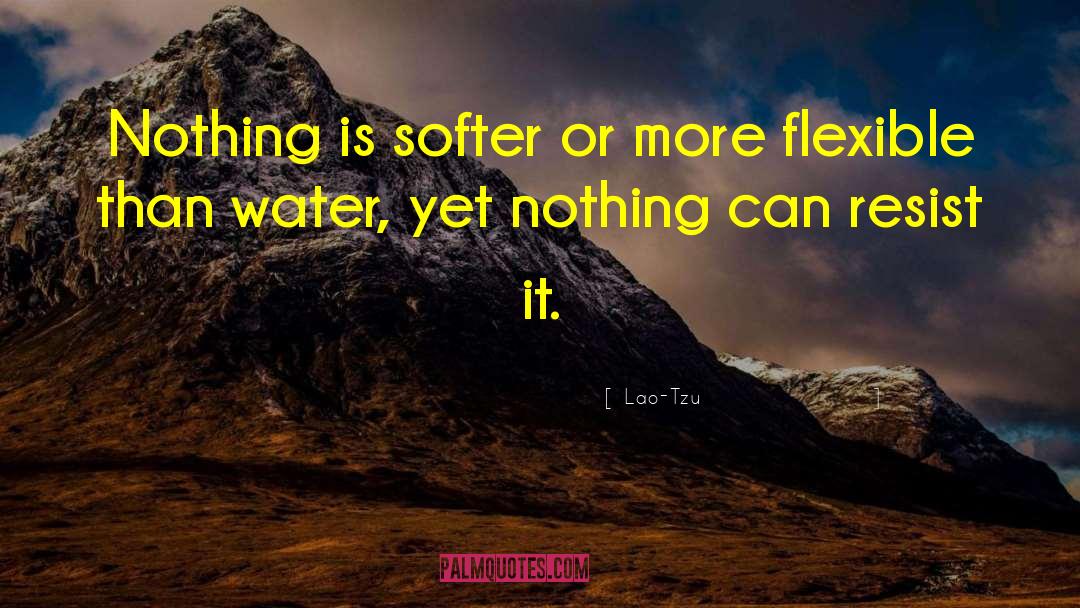 Nothing Is Perfect quotes by Lao-Tzu