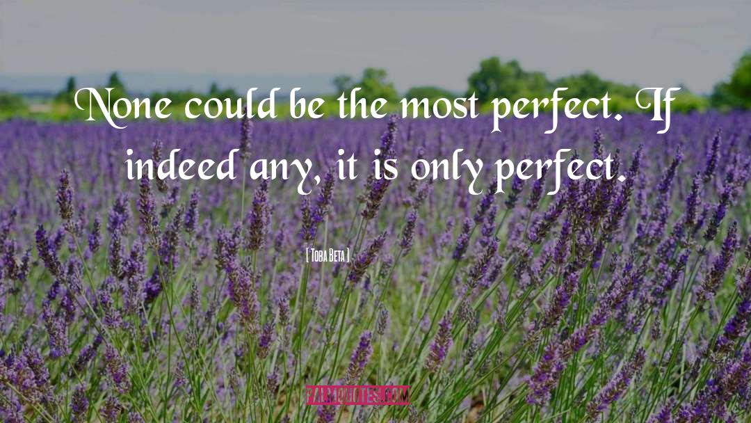Nothing Is Perfect quotes by Toba Beta