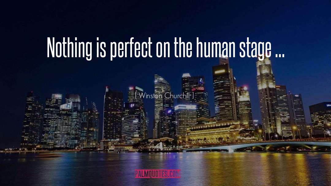 Nothing Is Perfect quotes by Winston Churchill