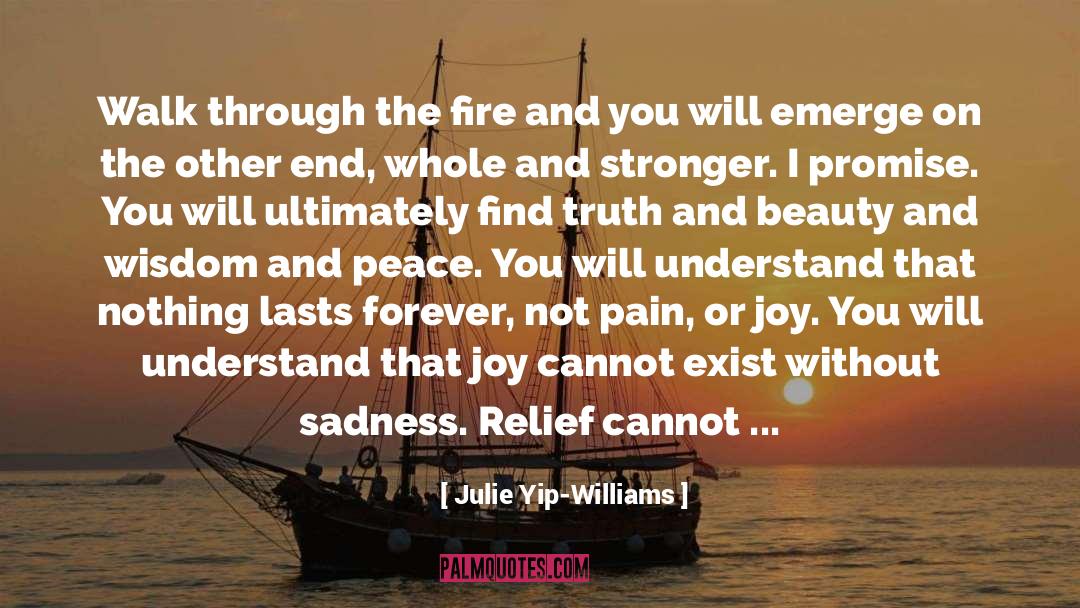 Nothing Lasts Forever quotes by Julie Yip-Williams