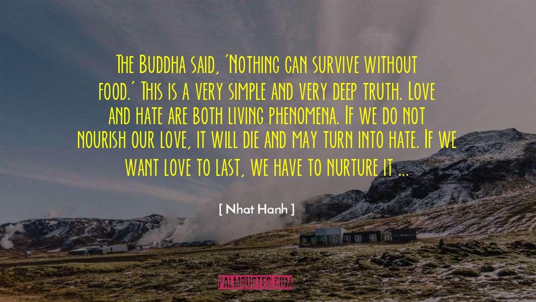 Nothing Lasts Forever quotes by Nhat Hanh