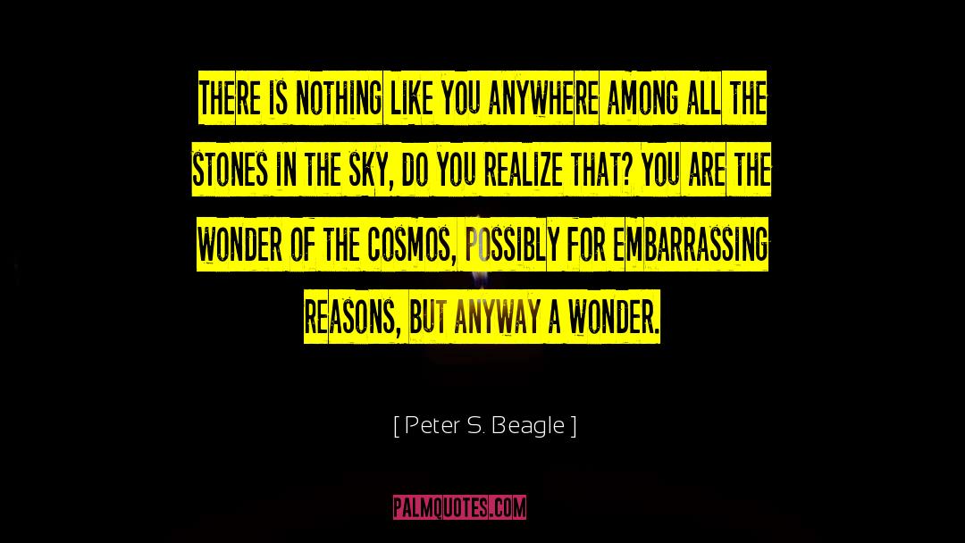 Nothing Like You quotes by Peter S. Beagle