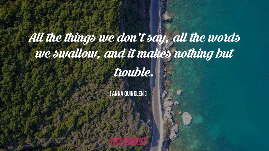 Nothing Makes Sense quotes by Anna Quindlen