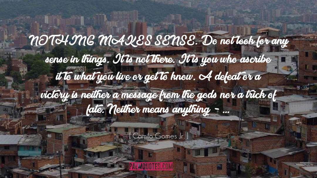 Nothing Makes Sense quotes by Camilo Gomes Jr.