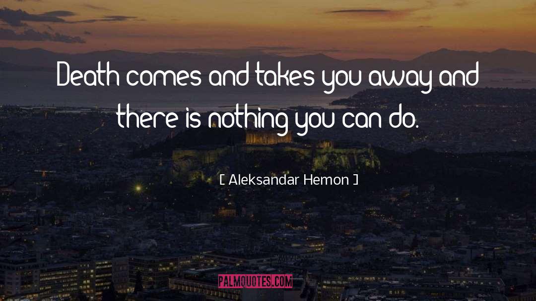 Nothing quotes by Aleksandar Hemon