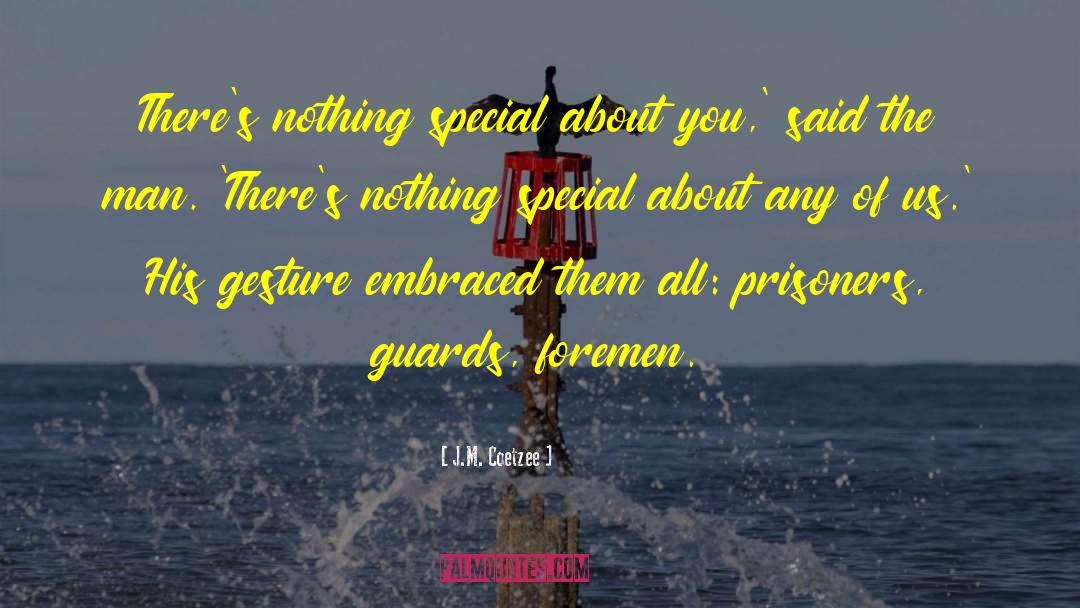 Nothing Special quotes by J.M. Coetzee