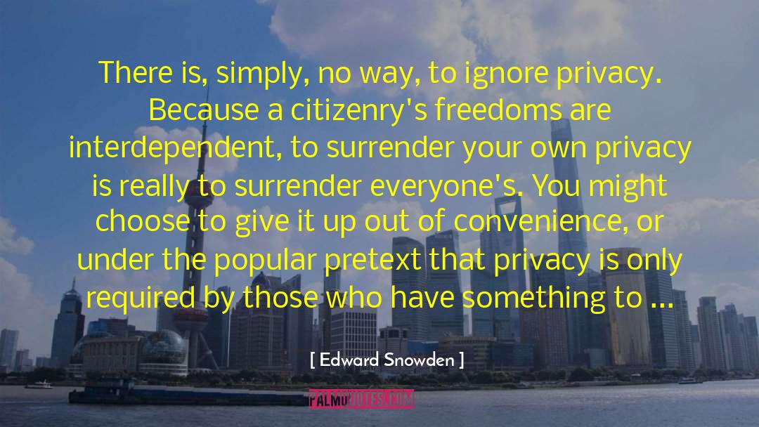 Nothing To Hide quotes by Edward Snowden