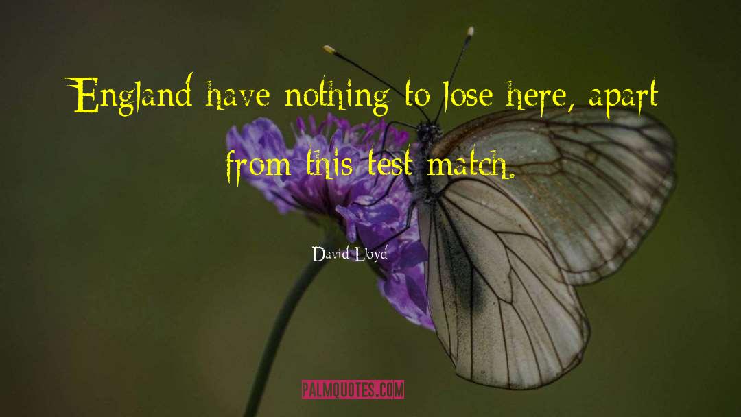 Nothing To Lose quotes by David Lloyd