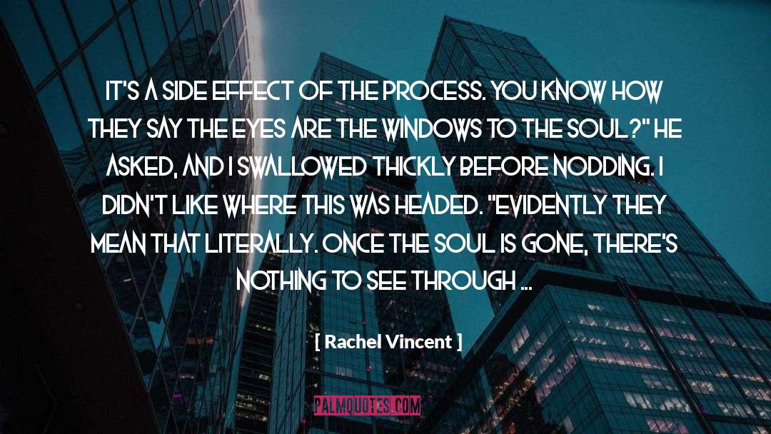 Nothing To See quotes by Rachel Vincent
