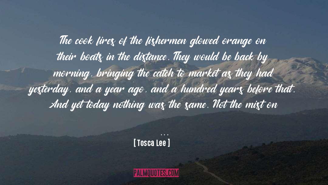 Nothing Was The Same Love quotes by Tosca Lee