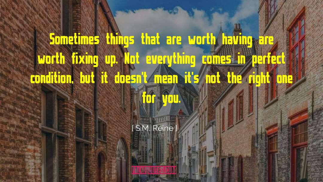 Nothing Worth Having Comes Easy quotes by S.M. Reine