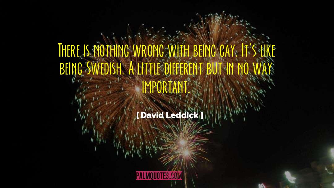 Nothing Wrong quotes by David Leddick