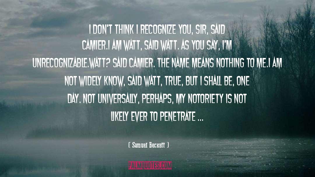 Notoriety quotes by Samuel Beckett