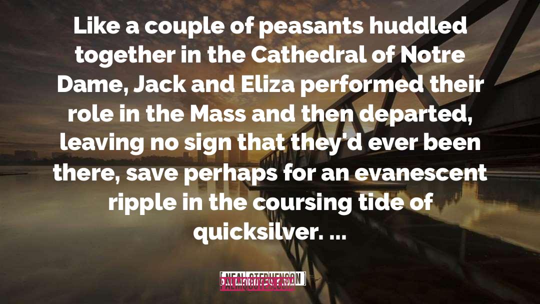 Notre Dame Famous quotes by Neal Stephenson