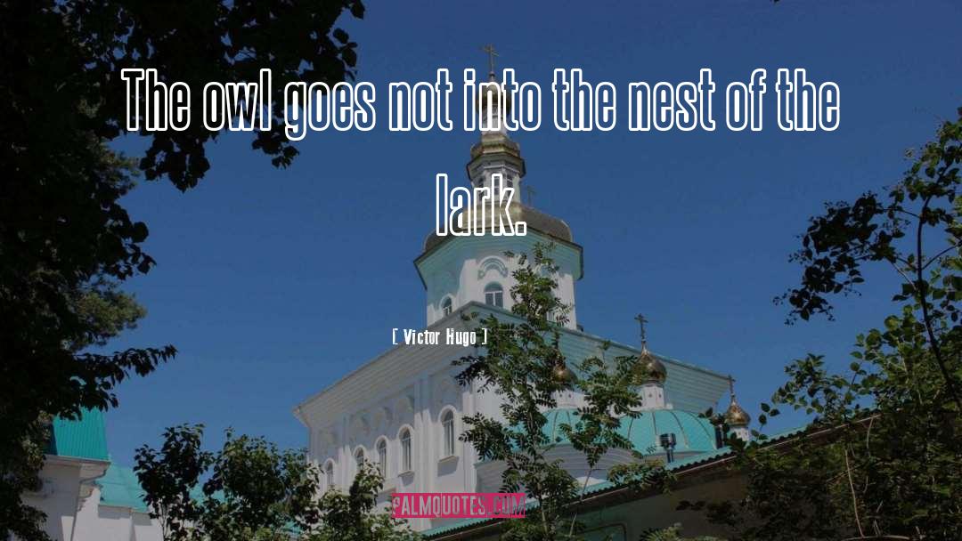 Notre Dame Football quotes by Victor Hugo