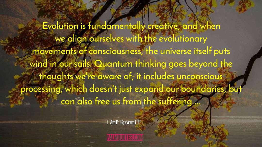 Nourish The Universe quotes by Amit Goswami