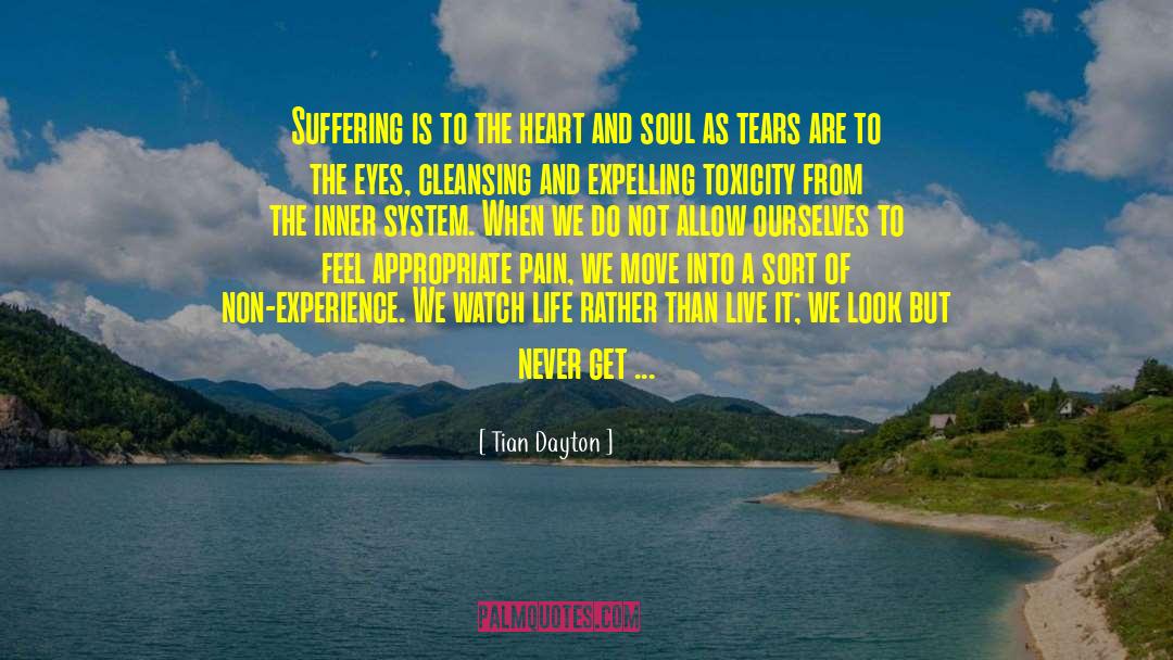 Nourishment Of Soul quotes by Tian Dayton
