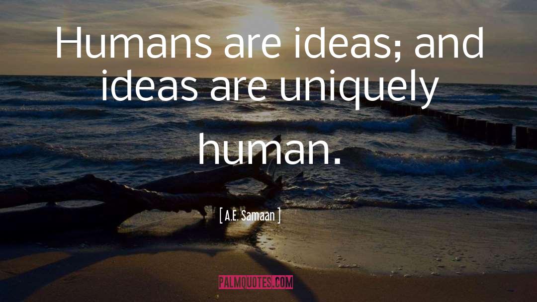 Novel Ideas quotes by A.E. Samaan