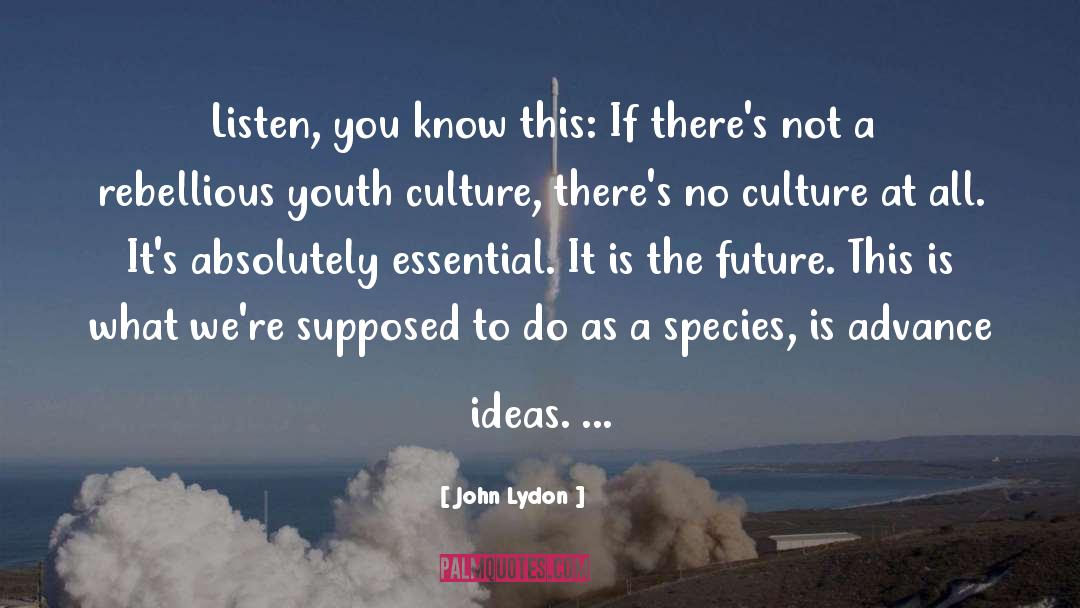 Novel Ideas quotes by John Lydon