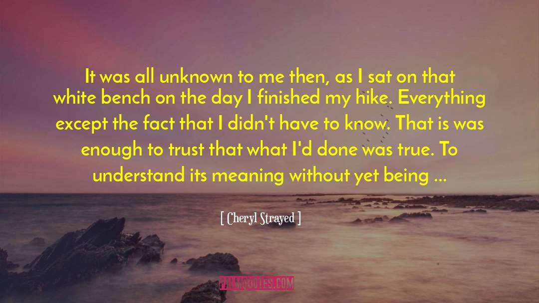 Novel Lines quotes by Cheryl Strayed
