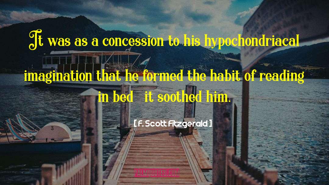 Novel Of The Imagination quotes by F. Scott Fitzgerald