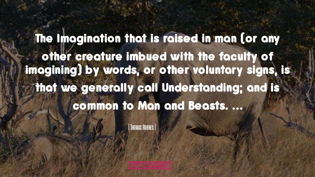 Novel Of The Imagination quotes by Thomas Hobbes