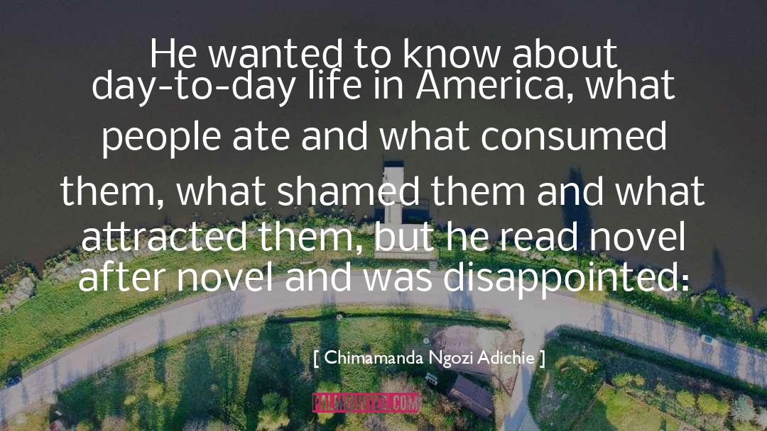 Novel quotes by Chimamanda Ngozi Adichie