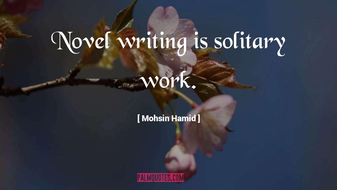 Novel Writing quotes by Mohsin Hamid