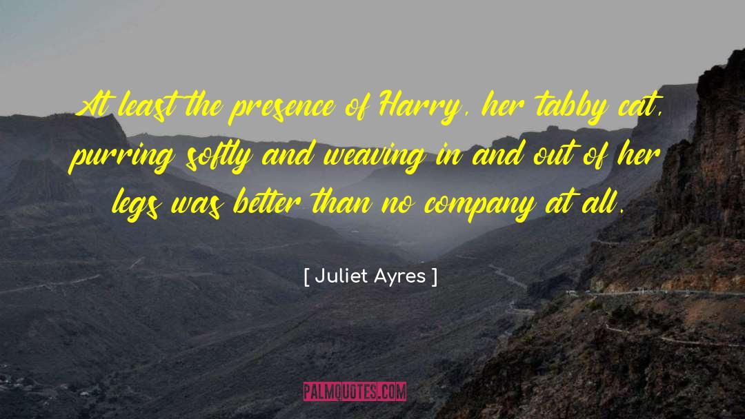 Novelette quotes by Juliet Ayres