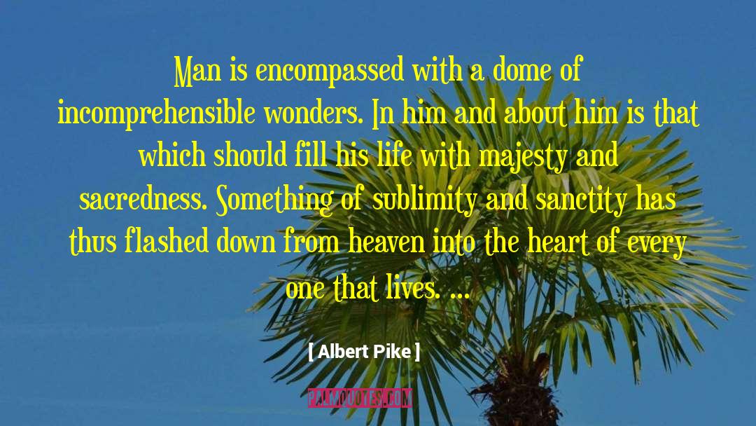 Novelists Life quotes by Albert Pike