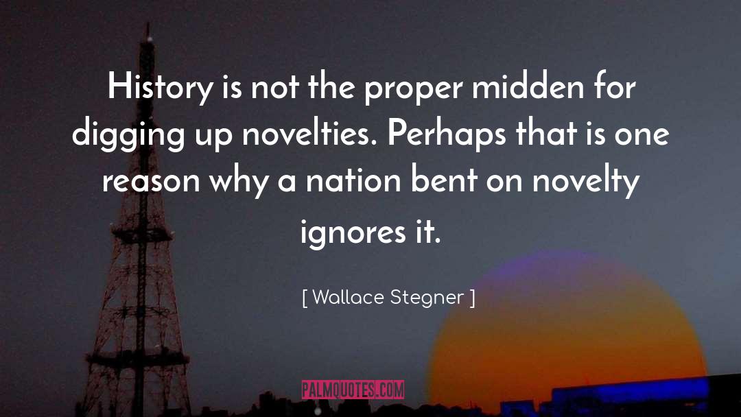 Novelty quotes by Wallace Stegner