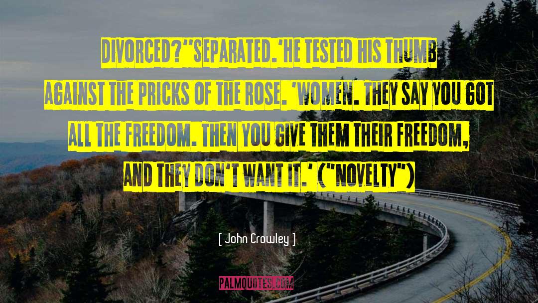 Novelty quotes by John Crowley