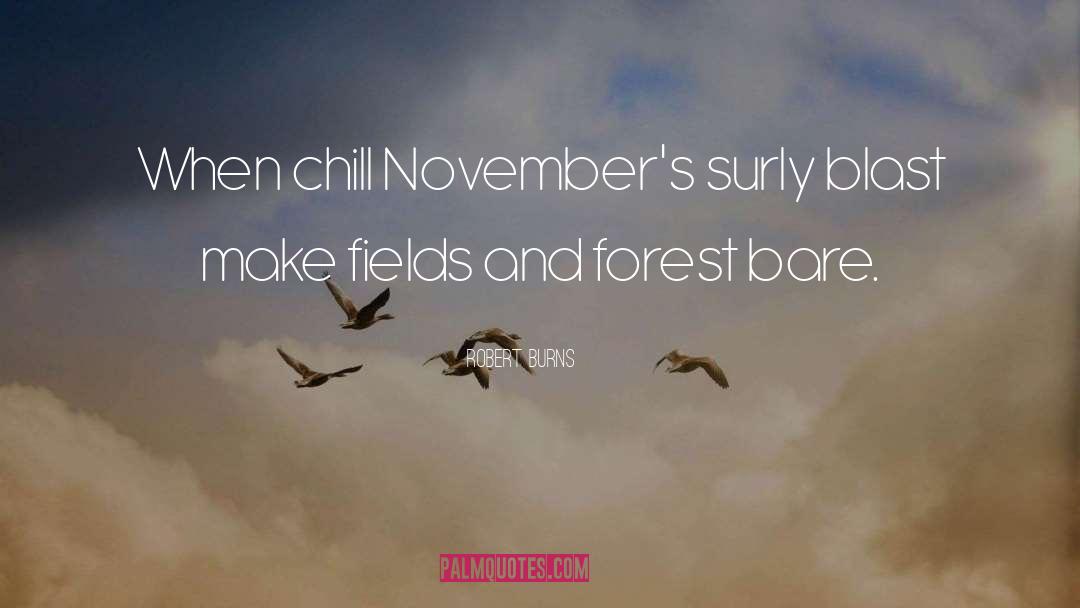 November quotes by Robert Burns
