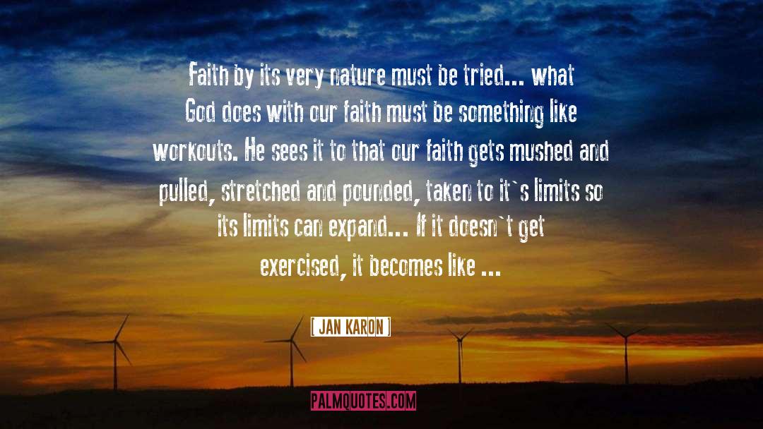 Now Faith quotes by Jan Karon