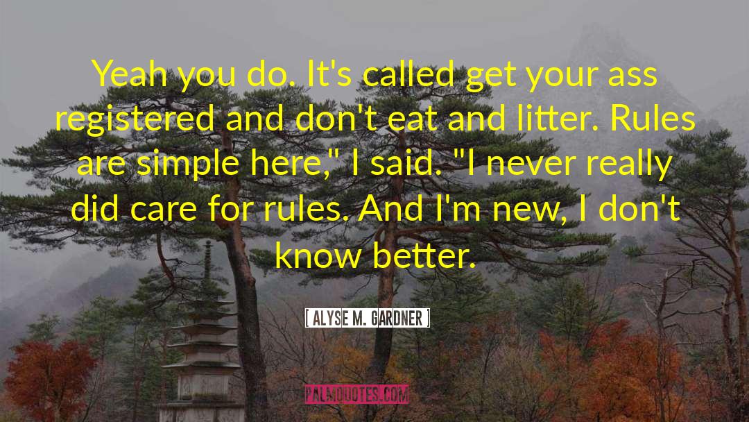 Now I M Here quotes by Alyse M. Gardner