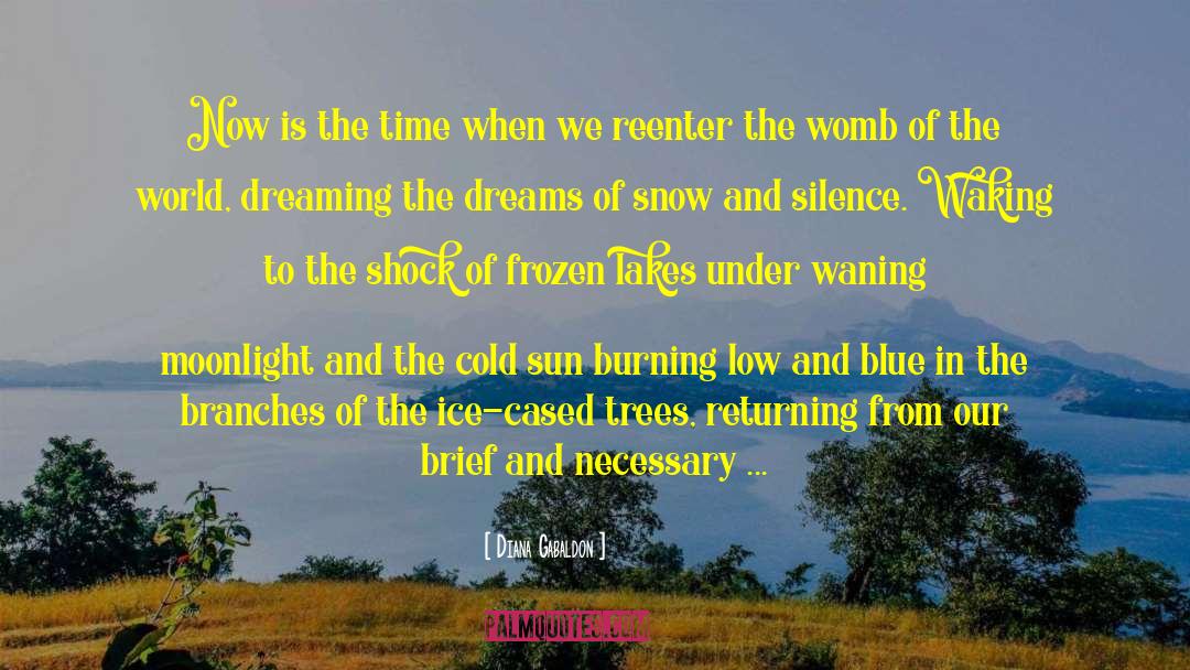 Now Is The Time quotes by Diana Gabaldon