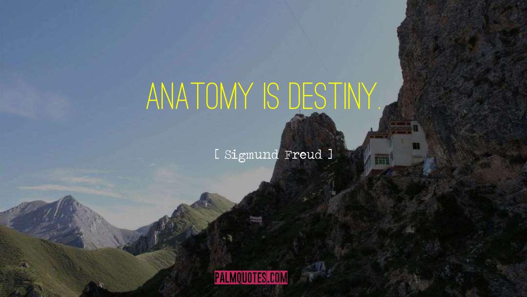 Now Or Never Greys Anatomy quotes by Sigmund Freud