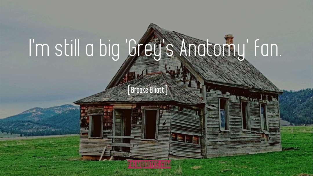 Now Or Never Greys Anatomy quotes by Brooke Elliott