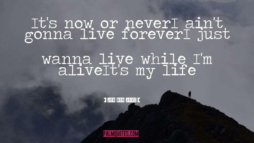 Now Or Never quotes by Jon Bon Jovi