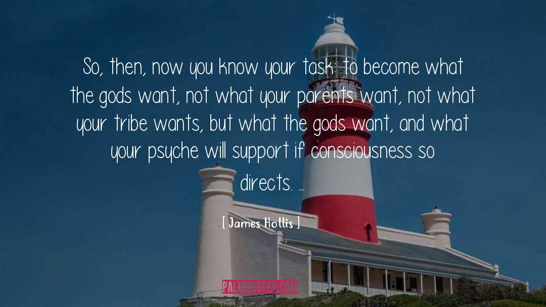 Now You Know quotes by James Hollis