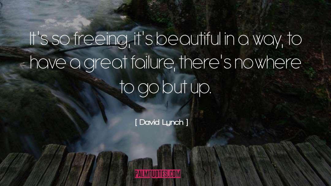 Nowhere To Go But Up quotes by David Lynch
