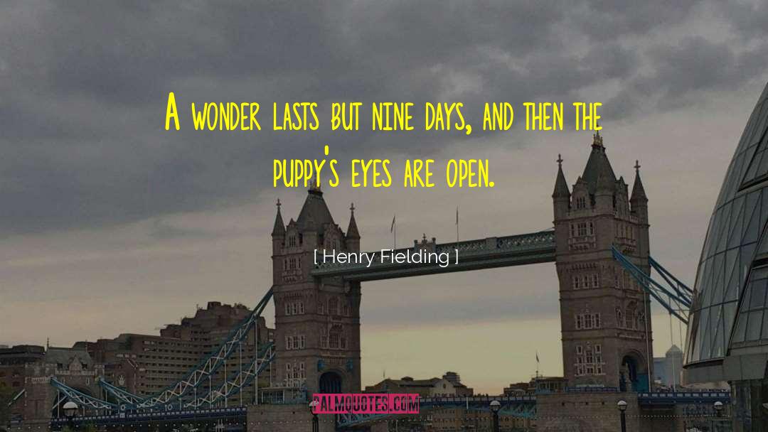 Noyce Eye quotes by Henry Fielding