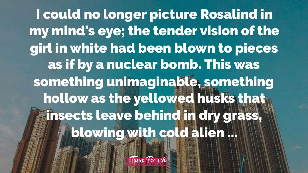 Nuclear Bomb quotes by Tana French