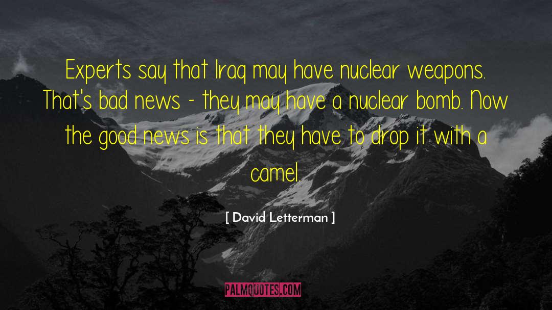 Nuclear Destruction quotes by David Letterman
