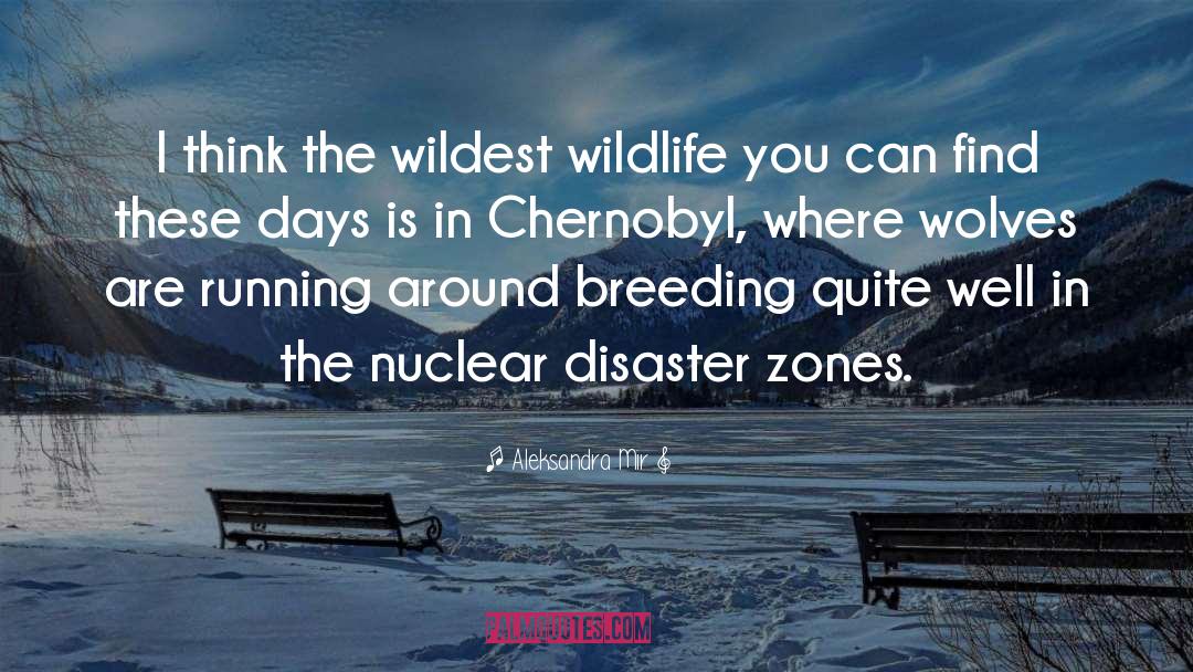 Nuclear Disaster quotes by Aleksandra Mir