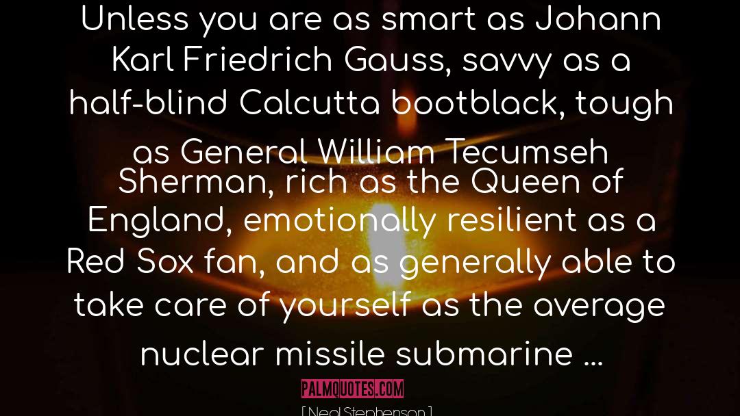 Nuclear Disasters quotes by Neal Stephenson