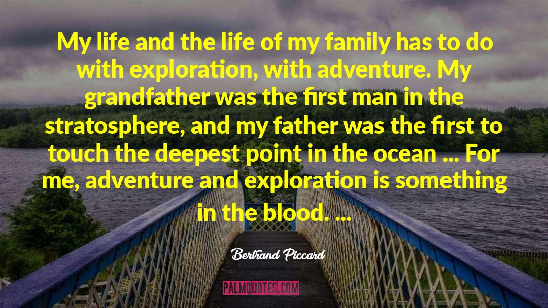 Nuclear Family quotes by Bertrand Piccard