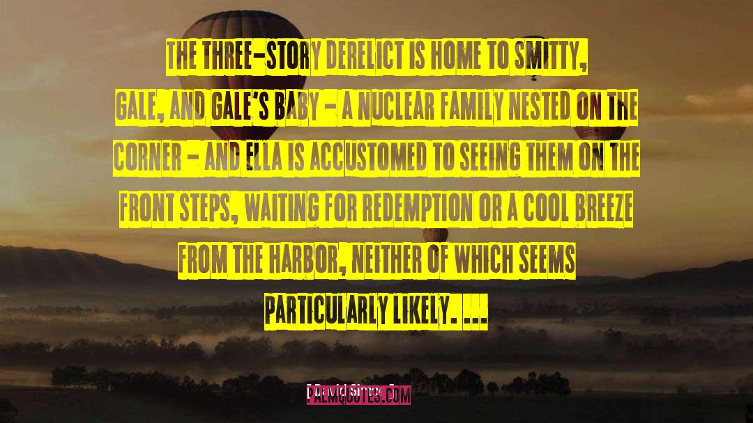 Nuclear Family quotes by David Simon